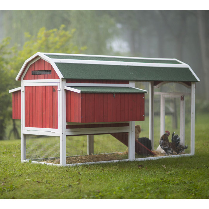 Archie & Oscar™ Hermione Large Barn Chicken Coop with Chicken Run For